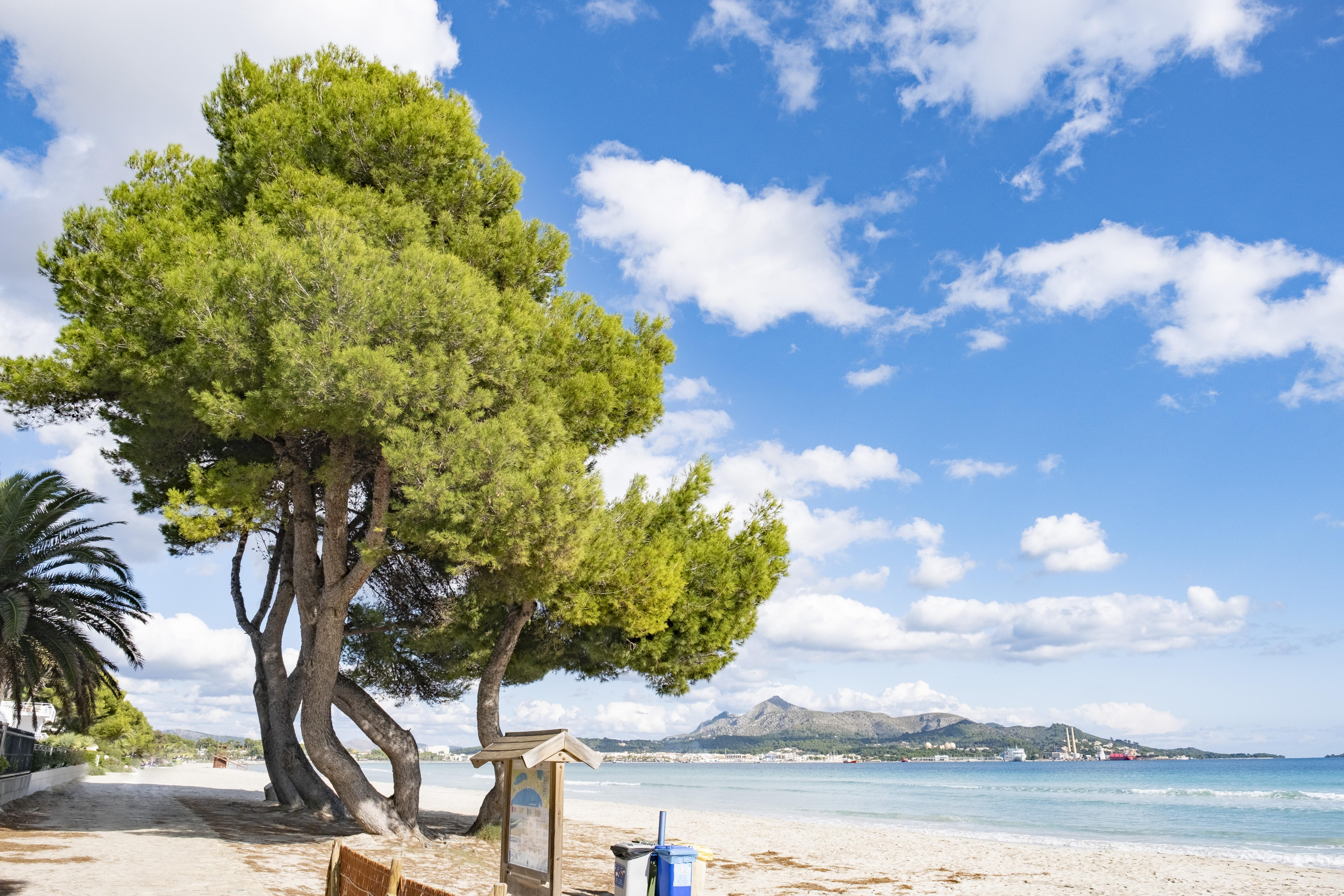 Eix Platja Daurada Hotel & Spa Can Picafort  Εξωτερικό φωτογραφία